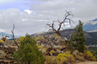 Sherman Pass Road KM