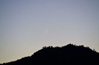 Comets of Fall