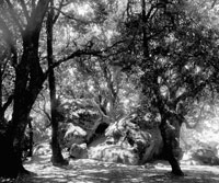 Castle Rock California 1976