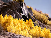 Merrill Prospect Falls California 1990